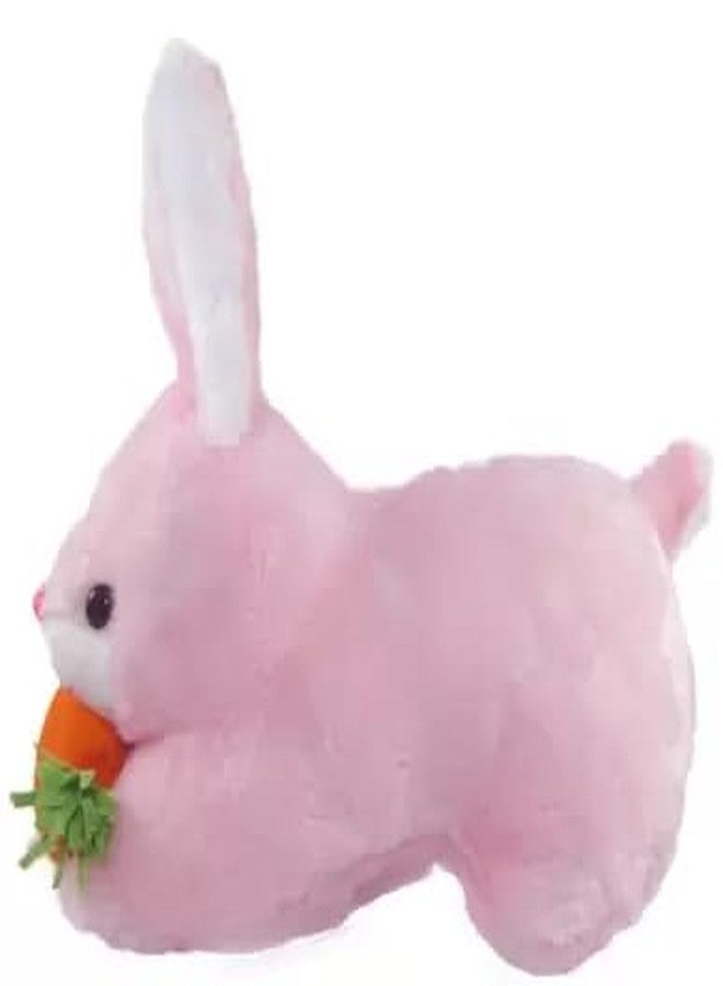 Future Shop Pack of 4 Elegant Soft Animals Stuffed Plush Toys Combo Set for Kids/Childrens/Boys/Girls Playing Birthday Gift Soft Fur Reversible Bunny, Dog, Penguien, Rabbit - Image 5